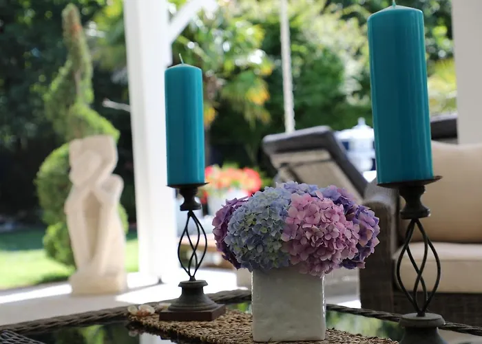 La Maison Blanche De *